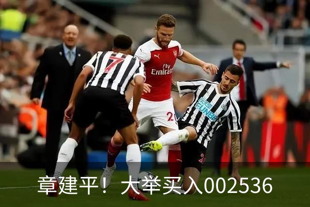 章建平！大举买入002536